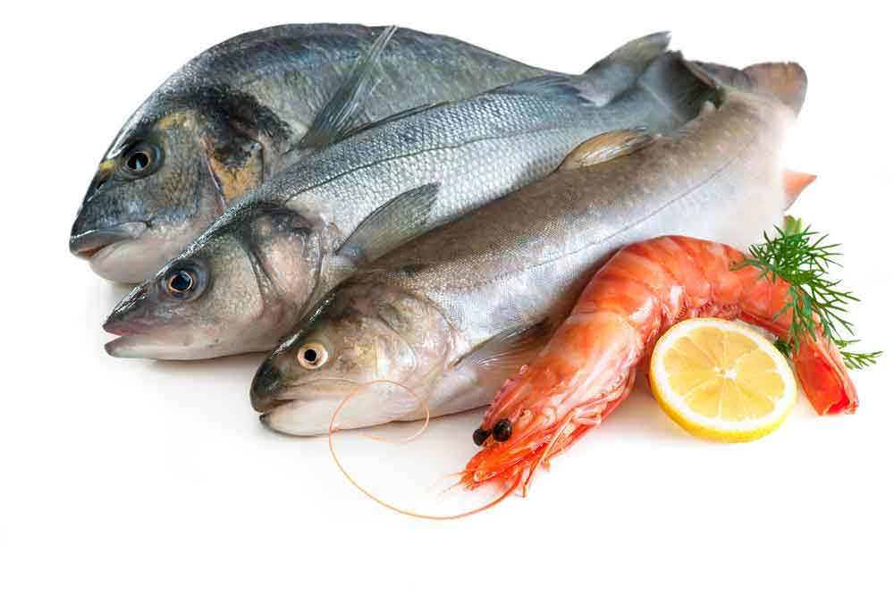 Frozen seafood products manufacturer | Monsoon Bounty - Tamil Crew