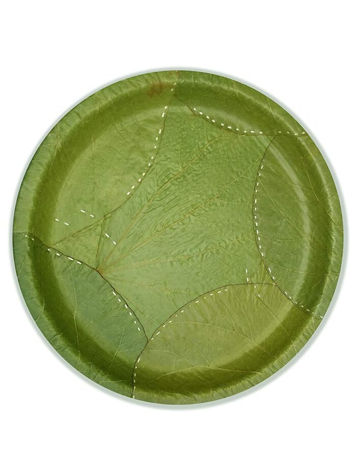 biodegradable disposable plates