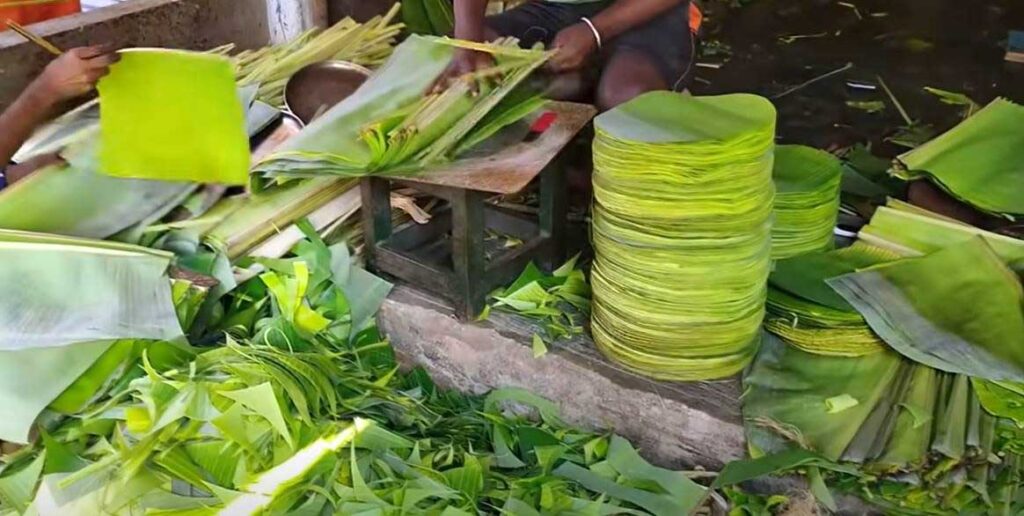 Disposable Banana Leaf Plates