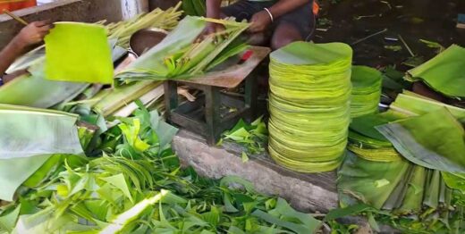 disposable-banana-leaf-plates-biodegradable-plates-passaro-exports