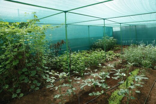 Greenhouse Shade Net