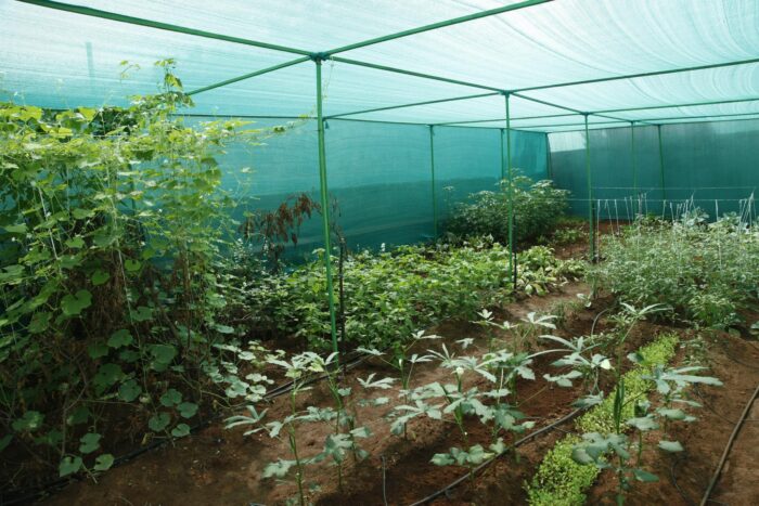 Greenhouse Shade Net