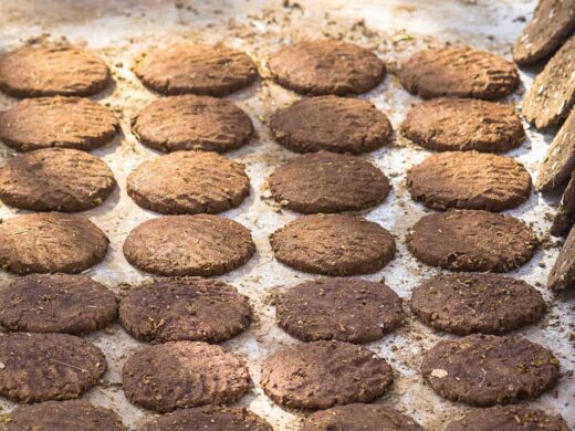 Cow Dung Cakes