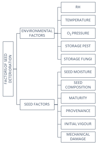 Advantages of seed coating