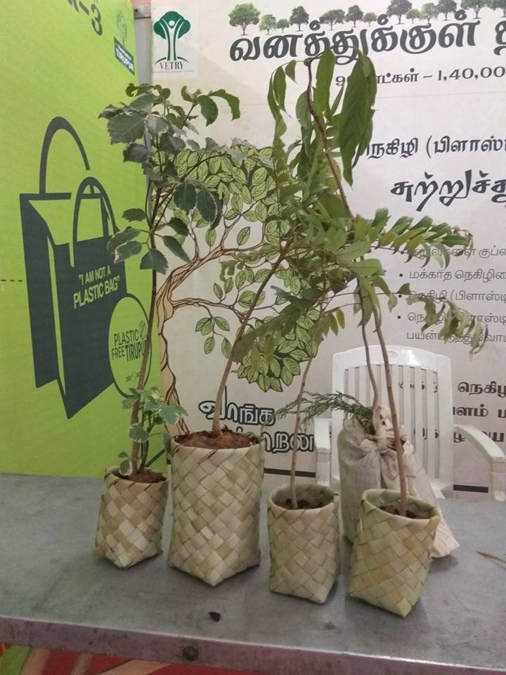 Eco-friendly Biodegradable Plant Pots