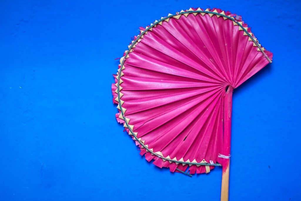 Ecofriendly Biodegradable Palm Leaf Hand Fan