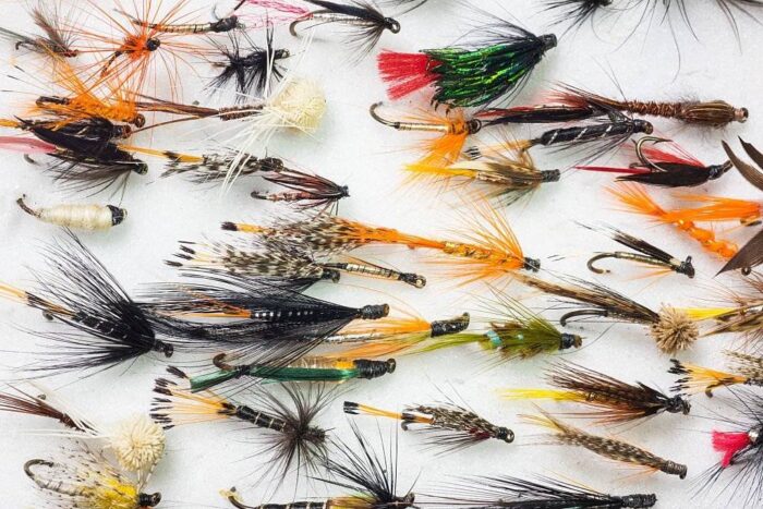 Best Trout Fishing Flies