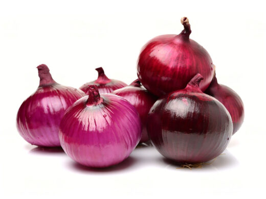 Fresh Red Onion Exporters