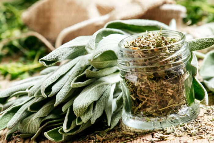 Freeze Dried Herbs Bulk