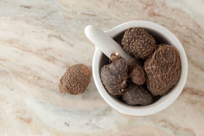 Air Potato (Dioscorea Bulbifera) for Sale