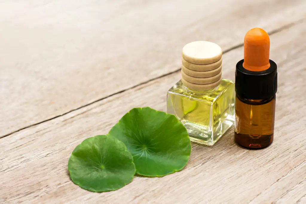 Centella Asiatica for Skin