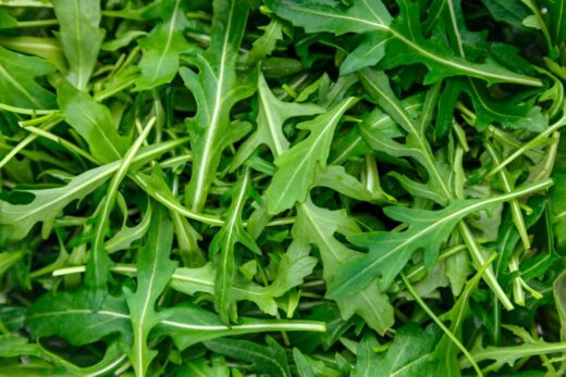 Arugula Leaves (Eruca Vesicaria)