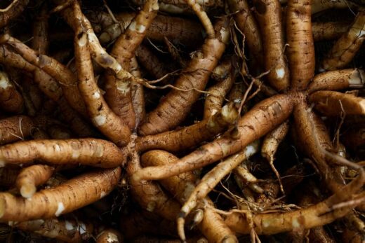 Coleus Forskohlii Root Extract