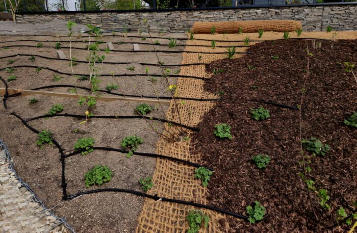 Biodegradable Coir Fabric Geotextiles