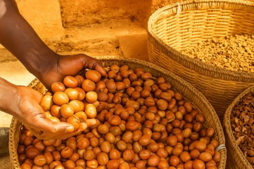 Shea Nuts from Benin
