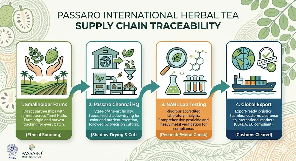 Passaro International herbal tea supply chain traceability infographic outlining the 4-step export process from ethical smallholder farms to shadow-drying in Chennai, NABL lab testing, and USFDA or EU compliant global export.