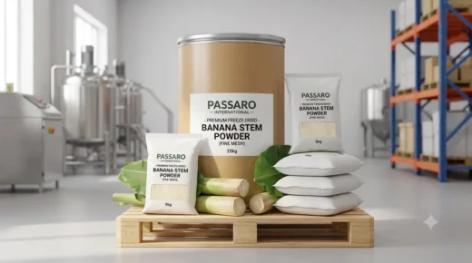 Passaro International, a leading global banana stem powder supplier, showcases its export-ready freeze-dried banana stem powder in 25kg bulk drums and stacked 5kg bags inside a clean, certified manufacturing warehouse in Chennai.