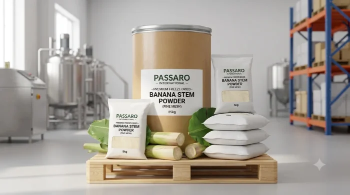 Passaro International, a leading global banana stem powder supplier, showcases its export-ready freeze-dried banana stem powder in 25kg bulk drums and stacked 5kg bags inside a clean, certified manufacturing warehouse in Chennai.