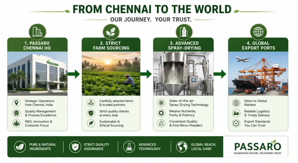 Infographic flowchart detailing Passaro International's supply chain for spray-dried papaya leaf extract powder, starting with farm sourcing, processing in Chennai, and exporting globally.