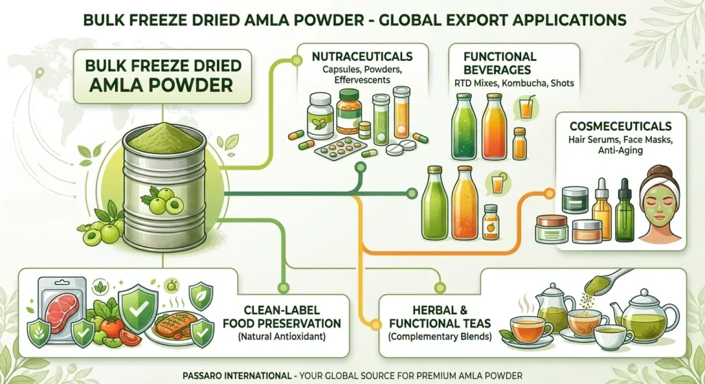 An infographic mapping out key B2B industry applications for Passaro International's Bulk Freeze Dried Amla Powder, including nutraceuticals, functional beverages, cosmeceuticals, clean-label food preservation, and herbal tea blends.