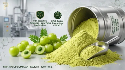 A premium featured image showing a pile of fine pale-green freeze-dried amla powder spilling from a 25 kg stainless steel drum alongside fresh Indian gooseberries, highlighted with quality badges for 98% bioactive retention and HPLC testing.