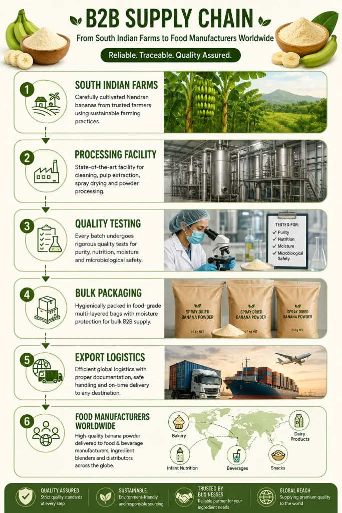 Bulk spray dried banana powder B2B supply chain infographic showing the journey from South Indian Nendran banana farms to processing facilities, quality testing laboratories, bulk packaging, export logistics, and food manufacturers worldwide.