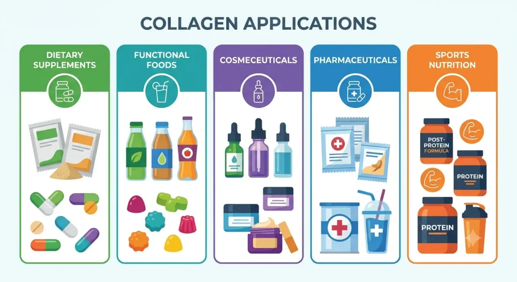 Multi-industry application infographic for Marine Collagen Peptides OEM Manufacturer detailing dietary supplements, functional foods, cosmeceuticals, pharmaceuticals, and sports nutrition sectors.